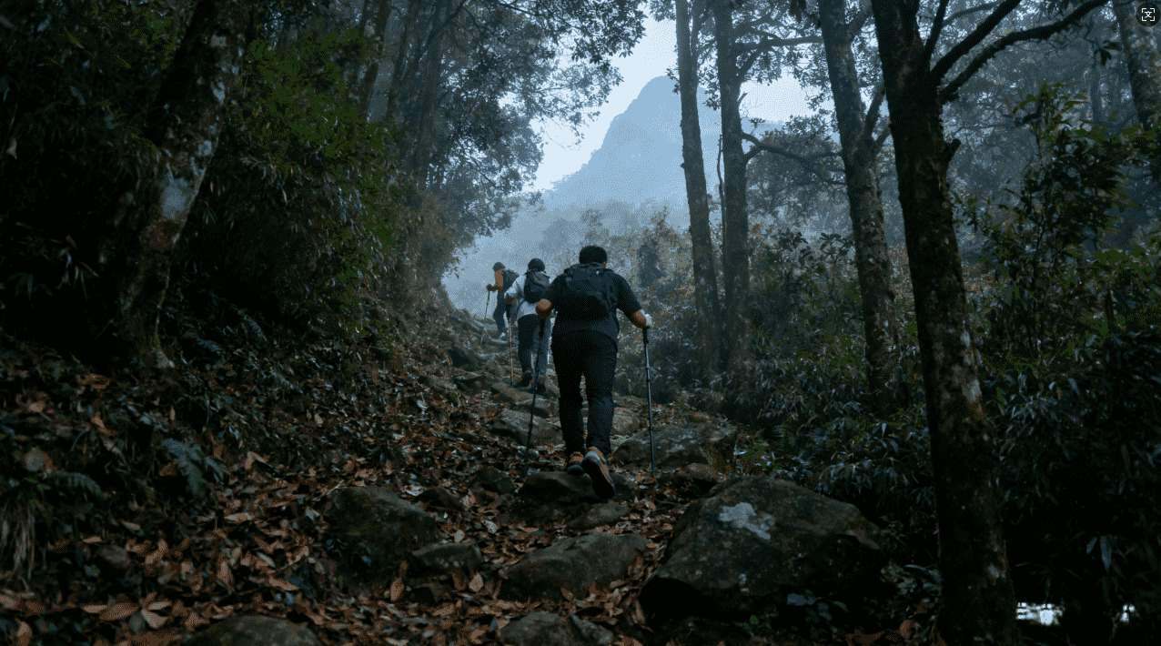 选择加速器还是梯子：优缺点全面比较分析